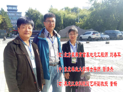 北方漿果育苗基地